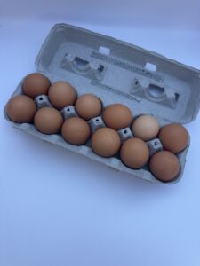 Chicken Eggs- Farm Fresh
